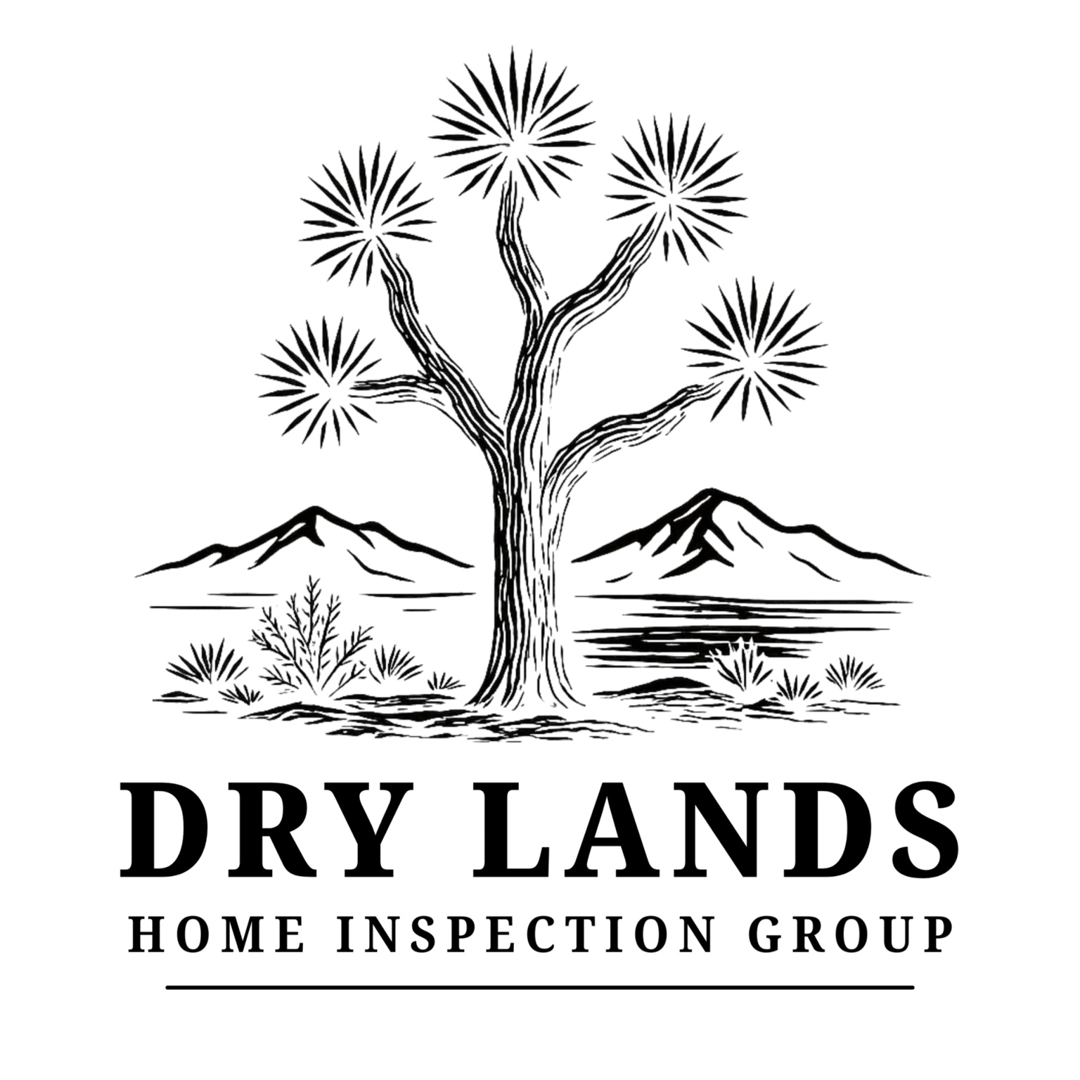 Dry Lands Home Inspection Group logo
